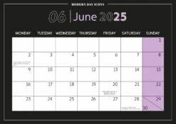 Dua Lipa Annual Review Magazine & 2025 Calendar 8 Dua Lipa Annual Review Magazine & 2025 Calendar -CELEBRITY MAGAZINES 61de6T yqpL. SL1500