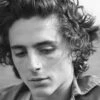Document Journal Magazine #17 Timothee Chalamet -CELEBRITY MAGAZINES DJ17 Timothee Chalamet Hedi Slimane 13