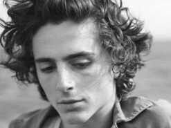 Document Journal Magazine #17 Timothee Chalamet