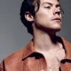 THE FACE MAGAZINE 2019: HARRY STYLES FEATURE + FREE POSTER -CELEBRITY MAGAZINES EDpdJb1W4AIjCn6
