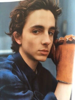 Timothée Chalamet For The New York Times Magazine September 2017 -CELEBRITY MAGAZINES IMG 5202
