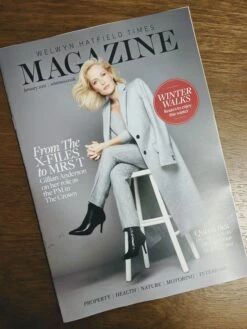 Welwyn Hatfield Times Magazine January 2021: Gillian Anderson Cover
