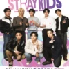 Stray Kids In Focus Bookazine - Domination Completed 2 Stray Kids In Focus Bookazine - Domination Completed -CELEBRITY MAGAZINES STRAYKIDSCOVERFINALINFOCUS720px