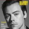 THE FACE MAGAZINE 2019: HARRY STYLES COVER FEATURE -CELEBRITY MAGAZINES THE FACE VOLUME 4 ISSUE 1 Harry Styles