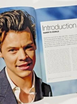 Harry Styles Fanbook UK Only 2021 Magazine 100% Unofficial 1D One Direction NEW! -CELEBRITY MAGAZINES s l1600 13 5fdc15d7 d9fb 43d5 97fb e09aa6b4f5c4